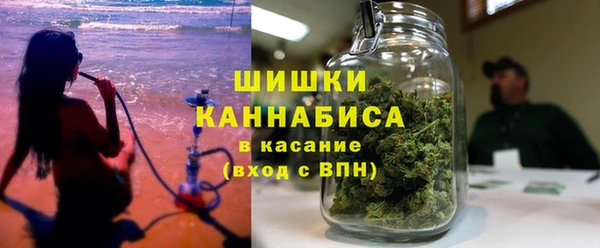 прущие грибы Богданович