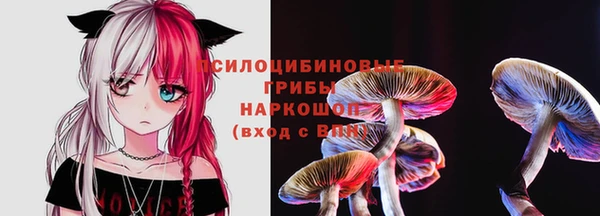 прущие грибы Богданович