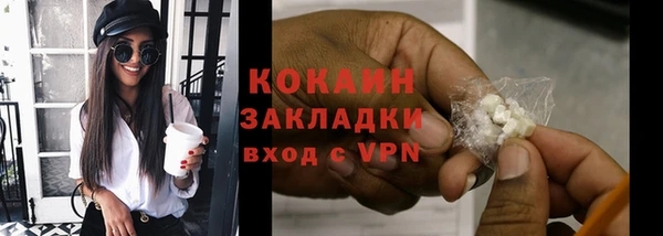 прущие грибы Богданович