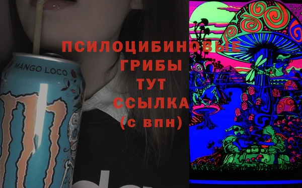 винт Богородицк