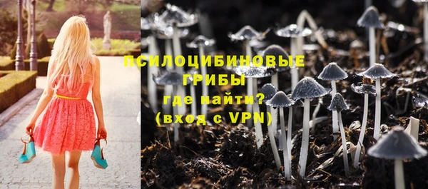 метамфетамин Белокуриха