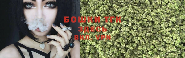прущие грибы Богданович