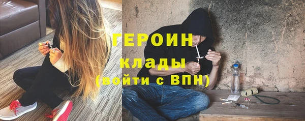 прущие грибы Богданович