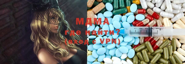 прущие грибы Богданович