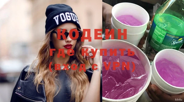 прущие грибы Богданович