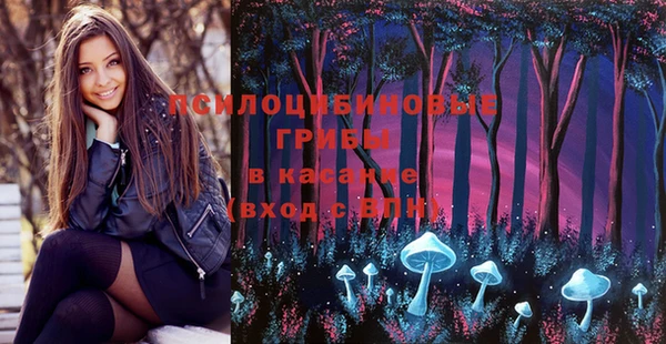 винт Богородицк